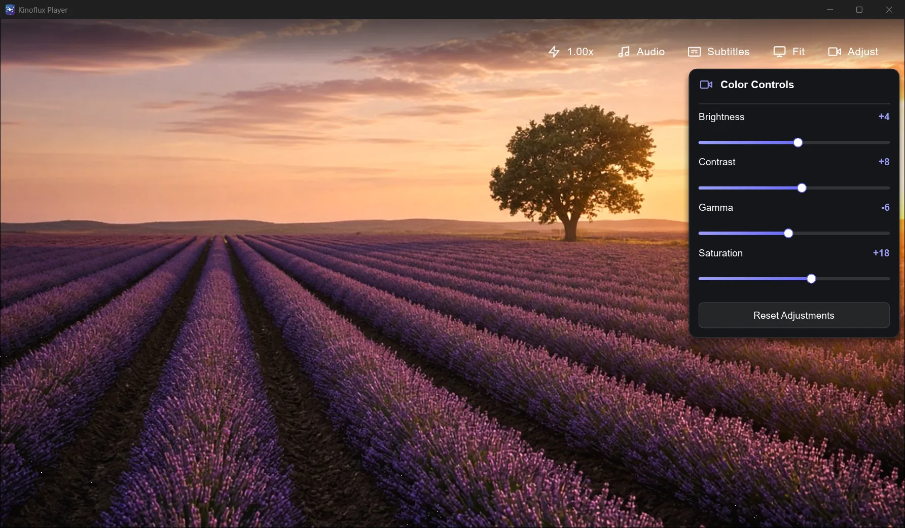 KinoFlux Player picture and audio adjustment panel